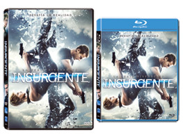 Insurgente