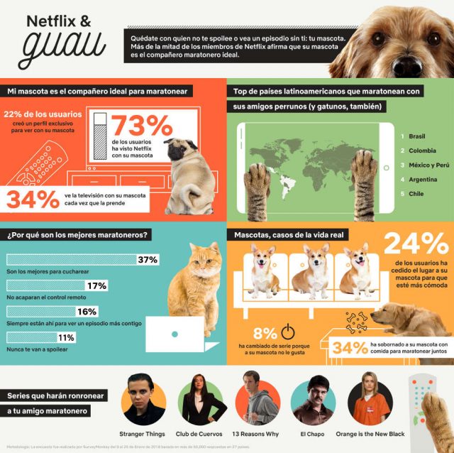 NETFLIX & GUAU: Maratonear es mejor con perros (y gatos)